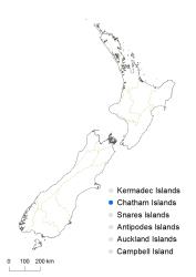 Asplenium chathamense distribution map based on databased records at AK, CHR, OTA & WELT.
 Image: K. Boardman © Landcare Research 2017 CC BY 3.0 NZ